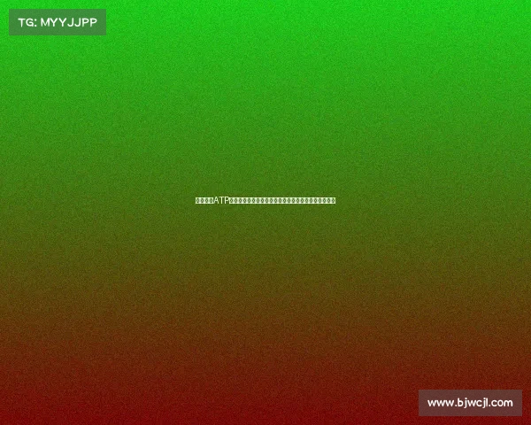 全面解析ATP赛事从入门到精通职业网球巡回赛的秘密及其历史发展